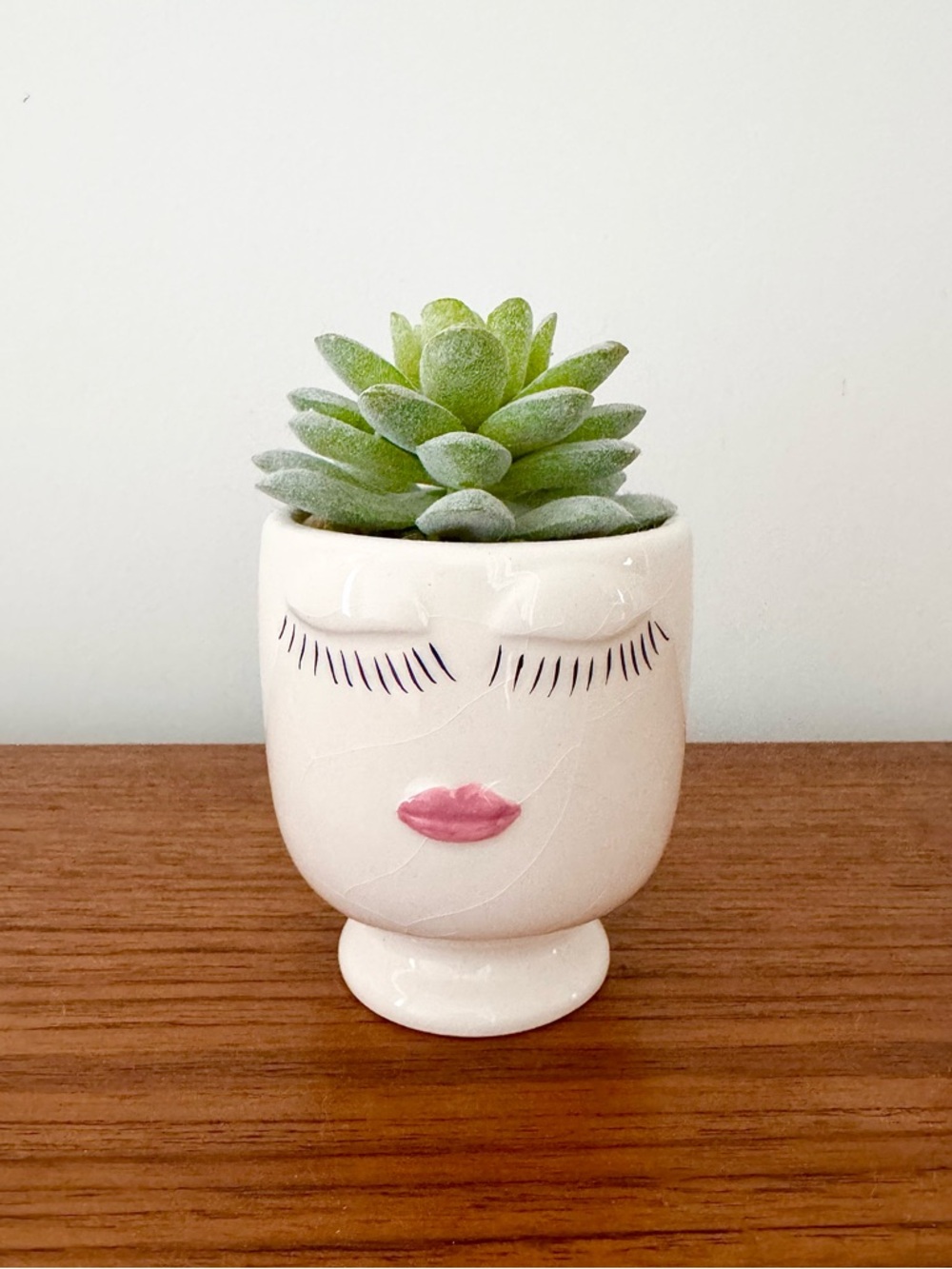 Ceramic pot with cute face and faux cactus